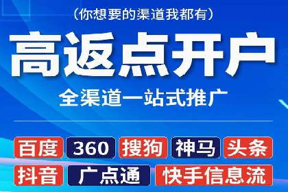 Sem优化公司案例：精准广告投放策略解析